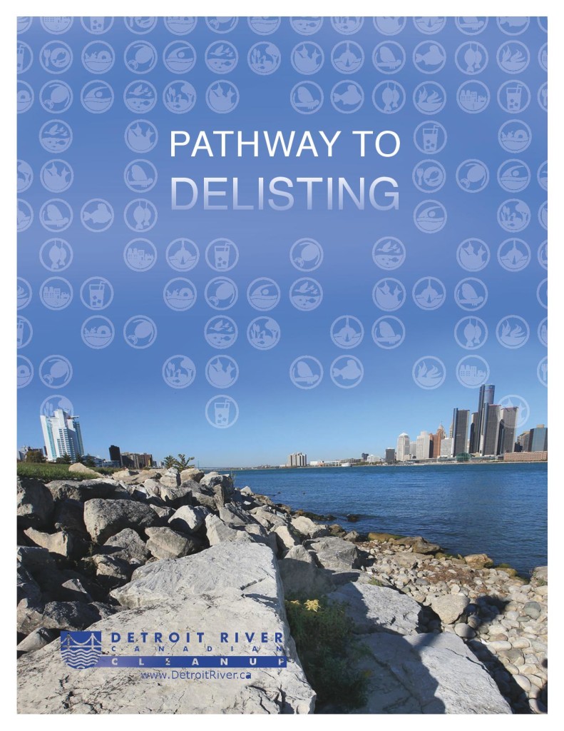 DRCC_Pathway_Covers2014-page-001