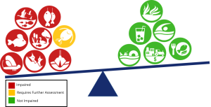 Tipping the scales of progress in the Detroit River Area of Concern
