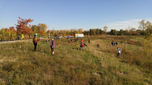 TD Tree Day Volunteers Planting 2