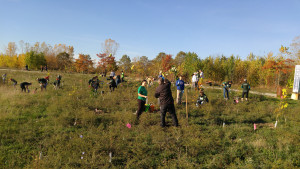 TD Tree Day Volunteers Planting 3