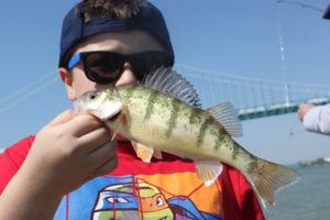 CuriosiD: How do you catch fish in the Detroit River? And are they