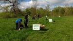 Forests Ontario Planting at Tranby Park